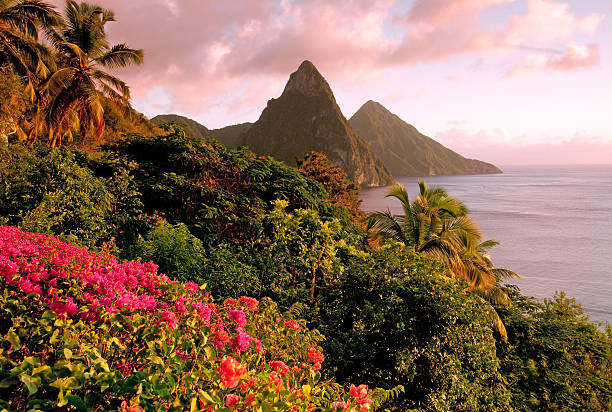 St lucia stock photos pictures royalty