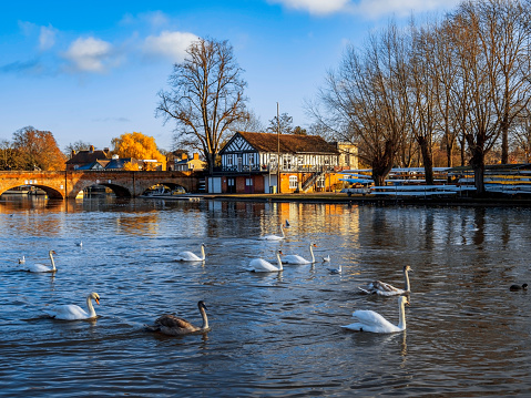 Stratford upon avon pictures download free images on