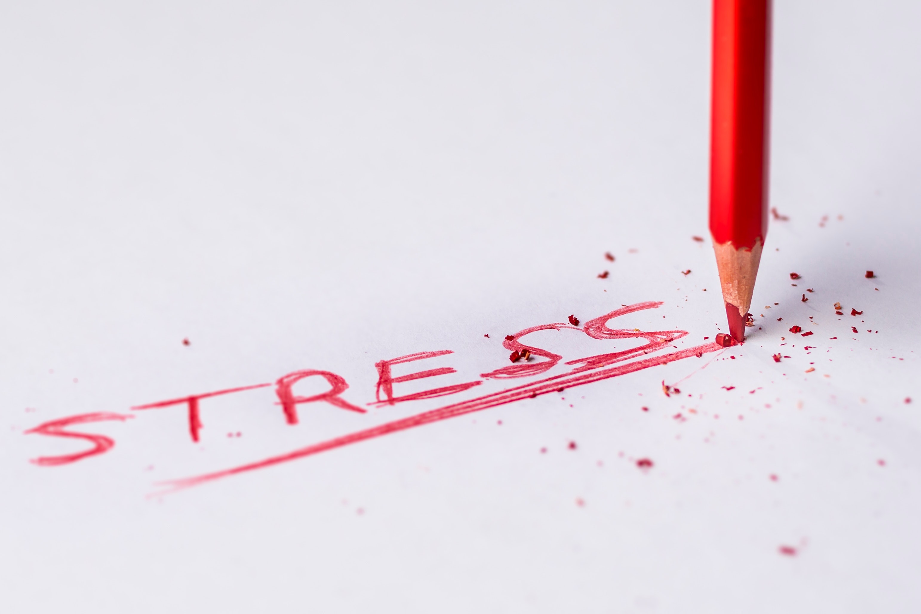 Stress photos download free stress stock photos hd images