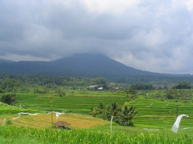 Photo pemandangan alam desa hd pemandangan pedesaan foto alam