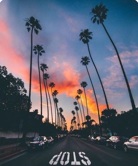 Download Free 100 + wallpaper sunset boulevard