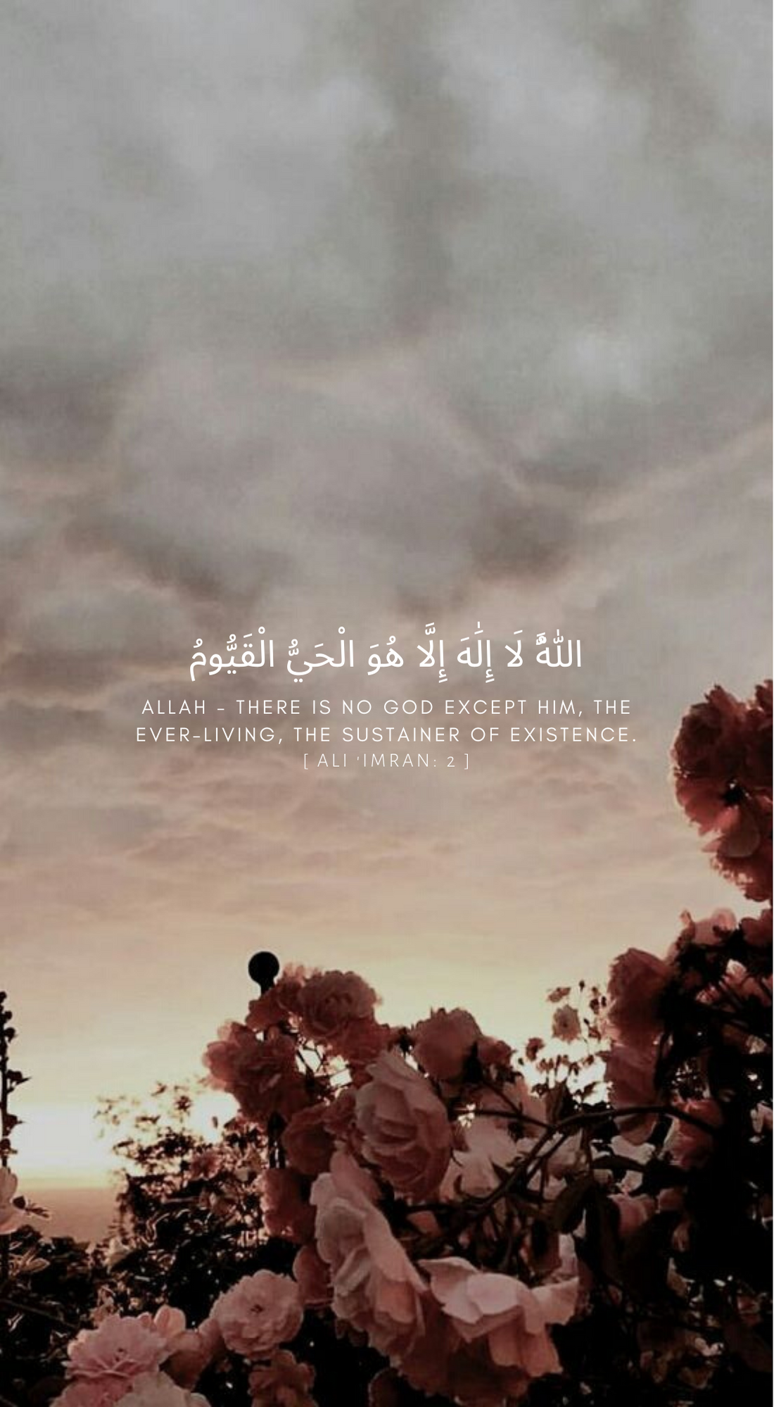 Pin on surah