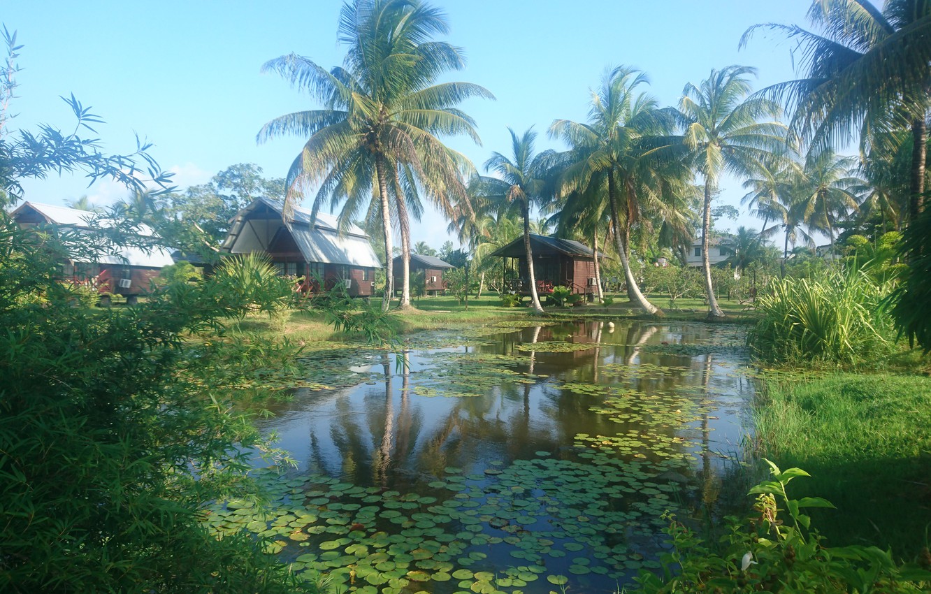 Wallpaper frederiksdorp suriname plantages in suriname nature resorts plantations in surinam images for desktop section ðñðñððð