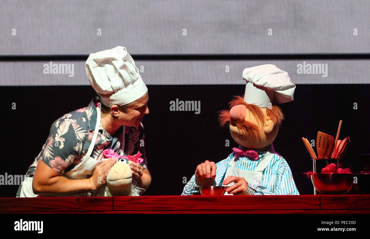 Swedish chef hi