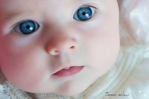 Omg the eyes sweet baby wallpaper baby eyes blue eyed baby