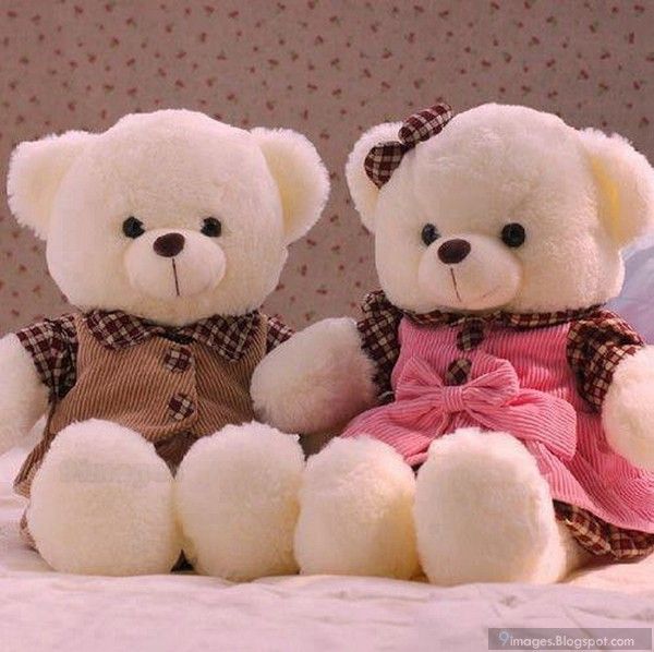 Images white teddy bear couple cute toy beruang teddy mainan anak boneka binatang