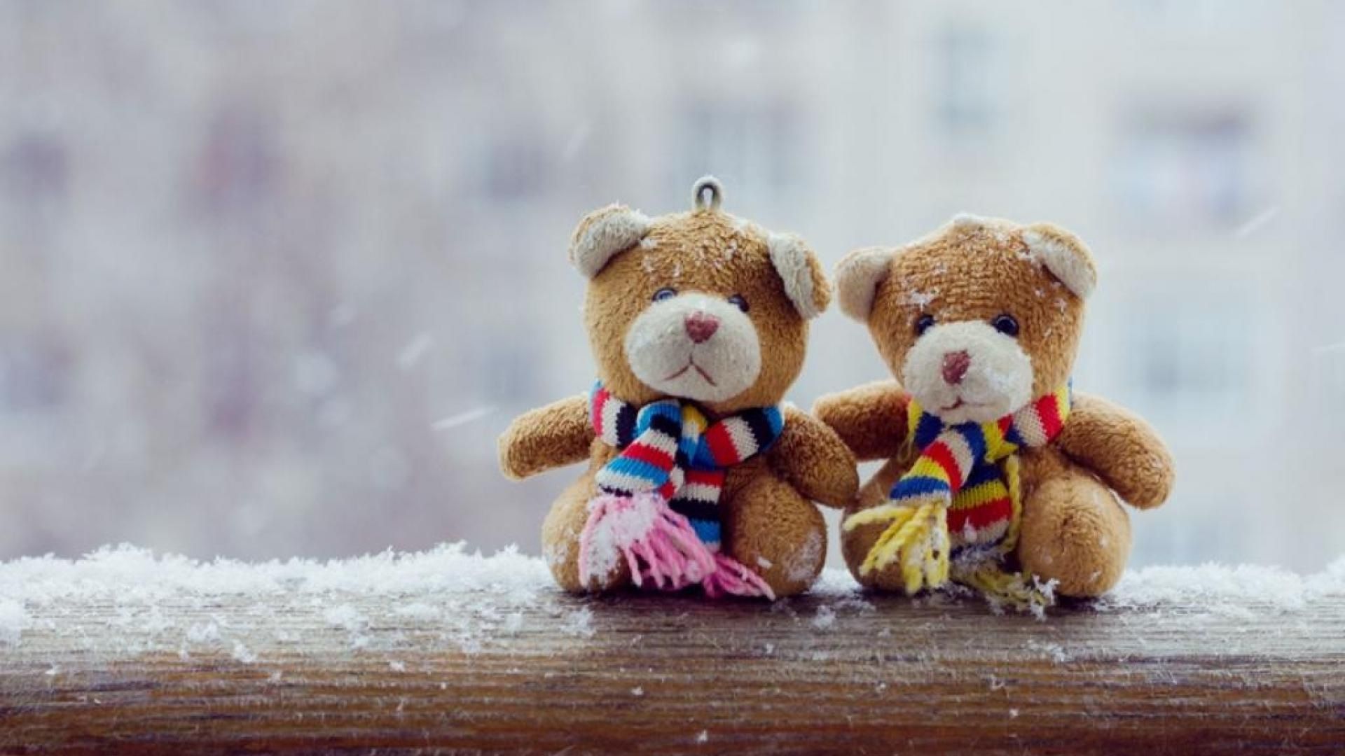 Teddy bear couple beautiful looks hd wallpapers rocks bear wallpaper teddy bear pictures teddy day