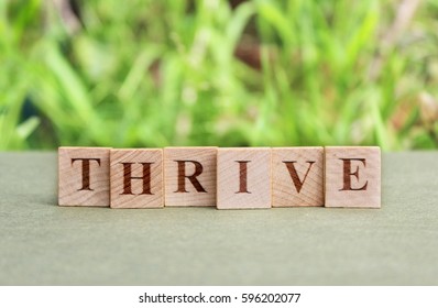 Thrive images stock photos vectors