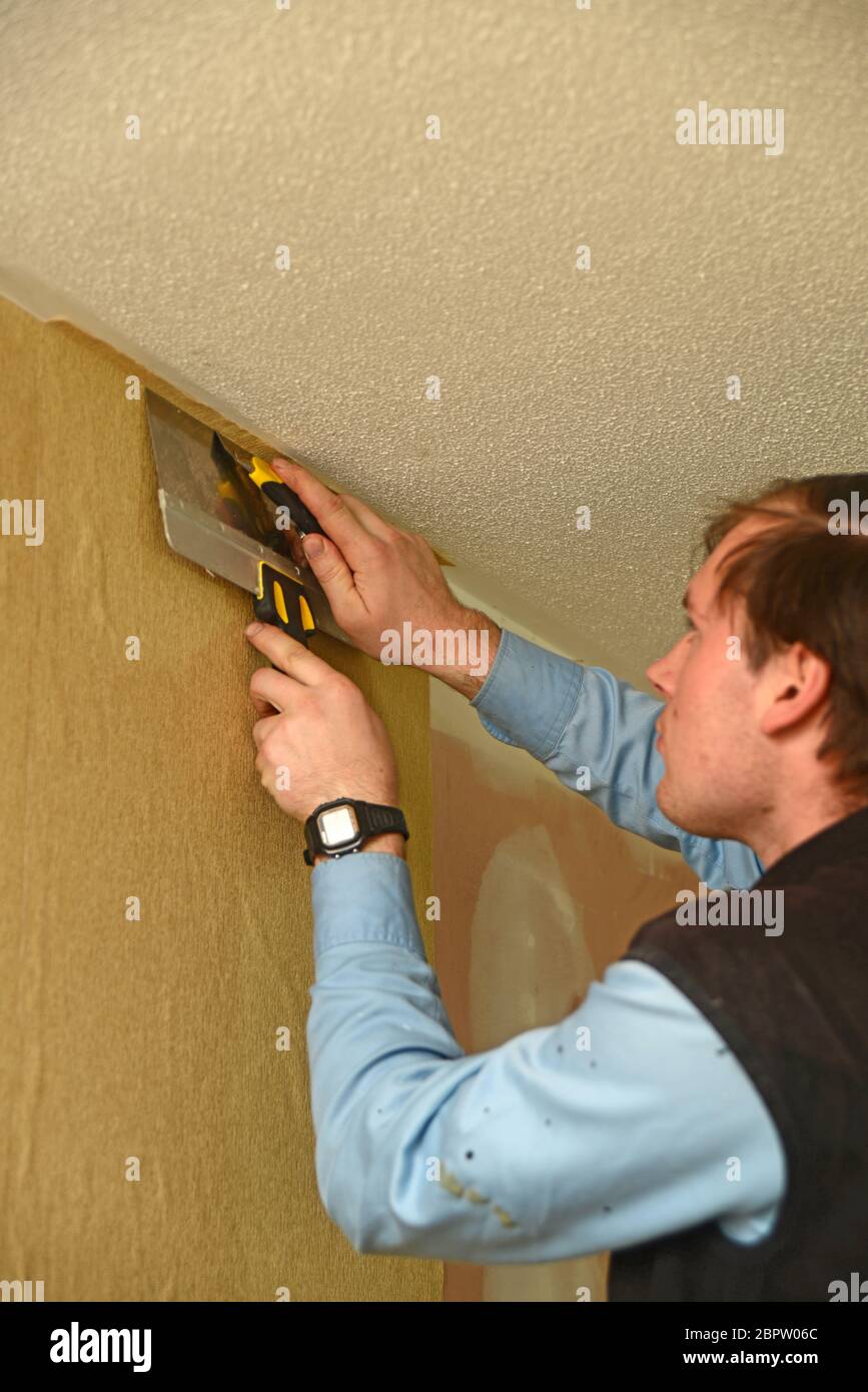 A tradesman wallpapers the wall of a bedroom with plain wallpaper stock photo