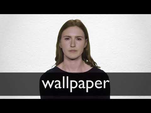 German translation of â wallpaperâ collins english