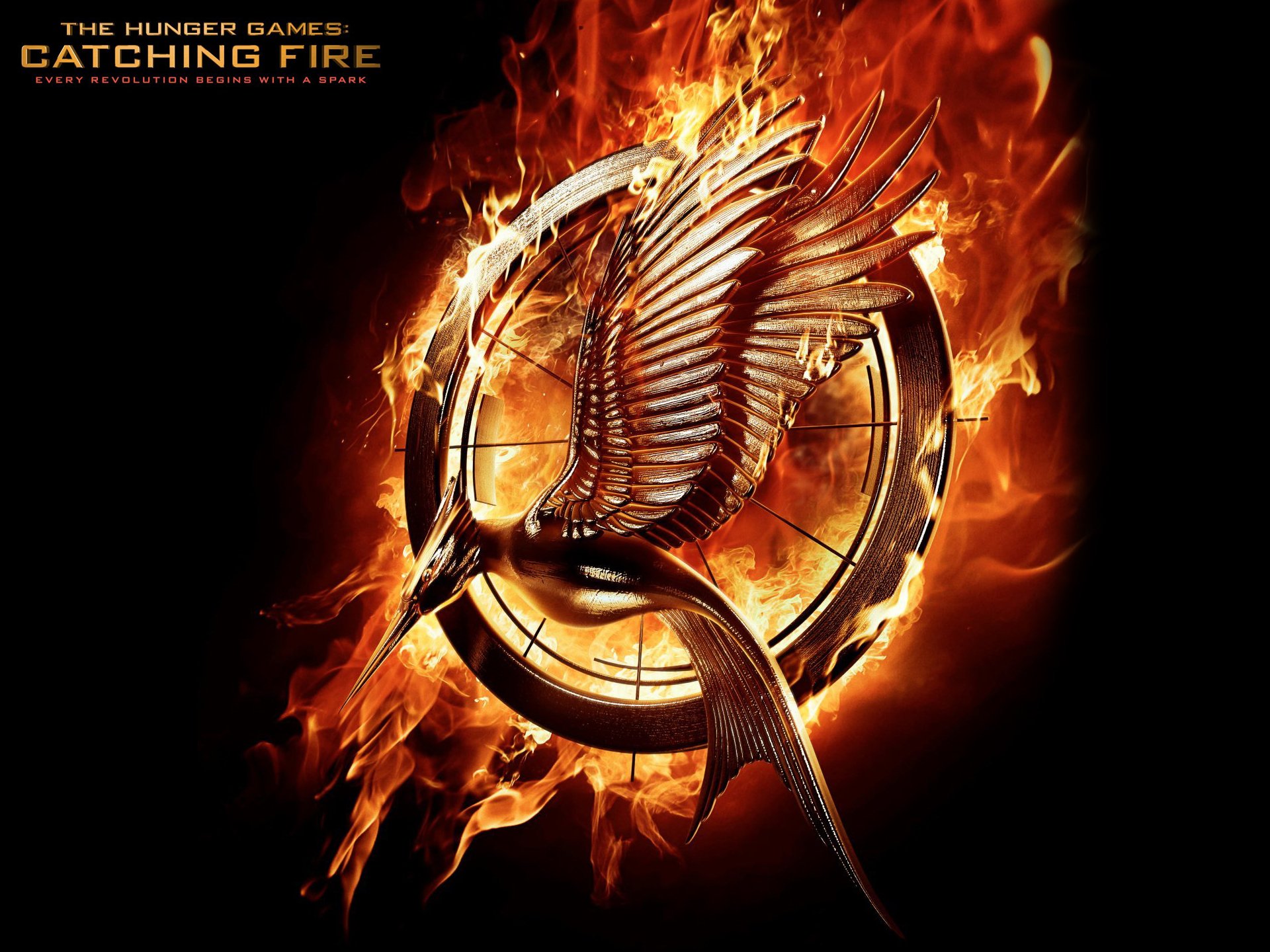 Die tribute von panem â catching fire hd papers und hintergrãnde