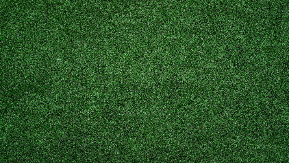 Turf pictures download free images on