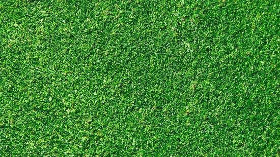 Grass d model grass textures grass background grass vector