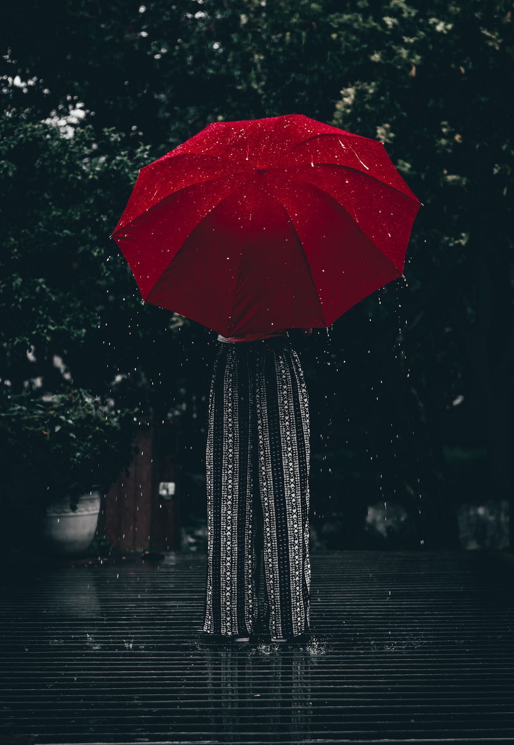 Girl in umbrella pictures download free images on