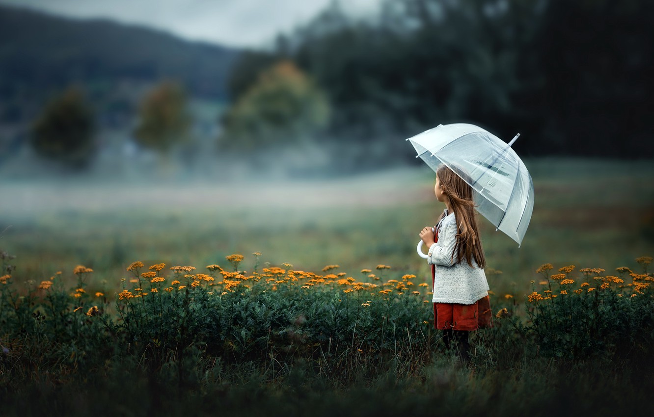 Wallpaper field umbrella girl images for desktop section ððñññððµððñ