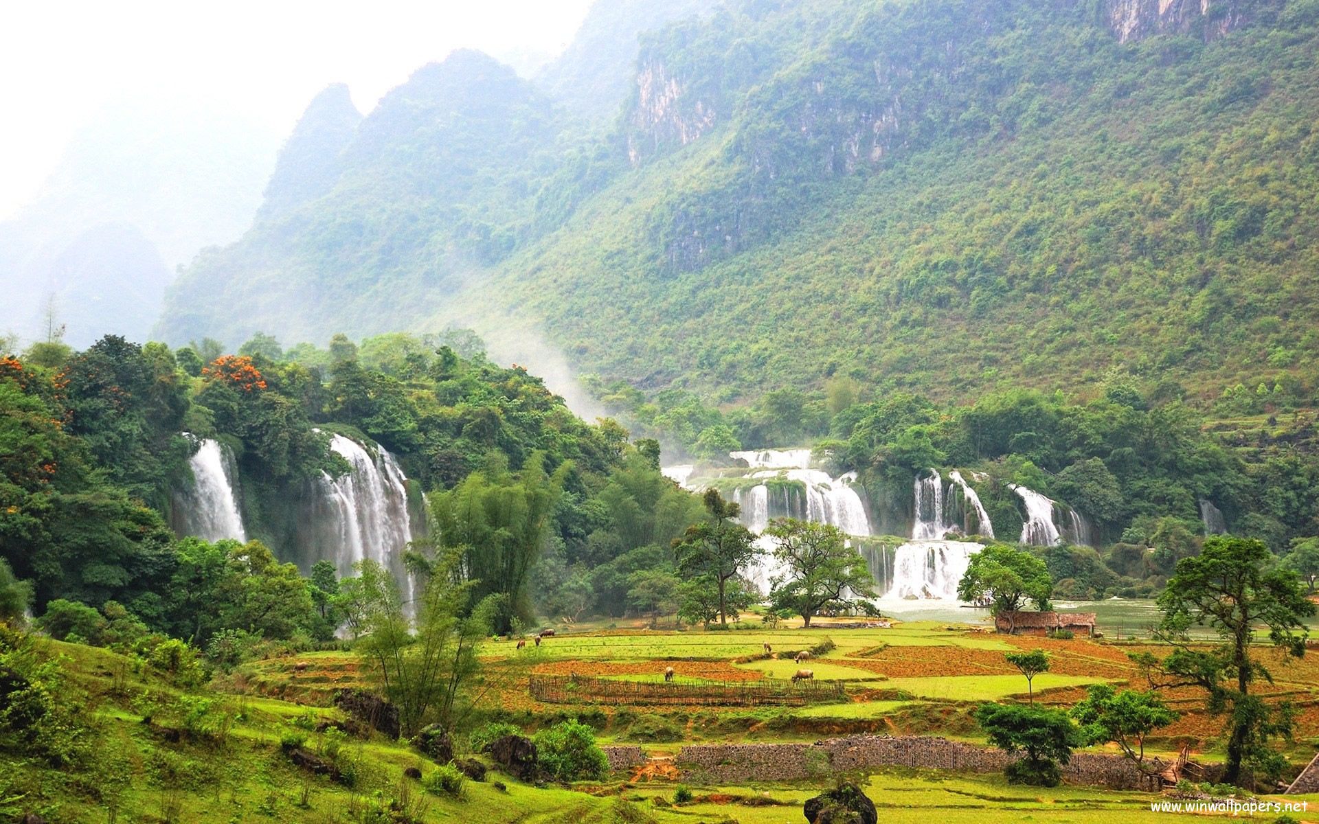 Nice nice vietnamese landscape wallpaper culture travel vietnam tours waterfall