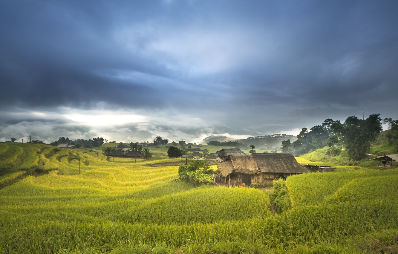 Wallpaper nature home village figure field landscape vietnam images for desktop section ððµðð