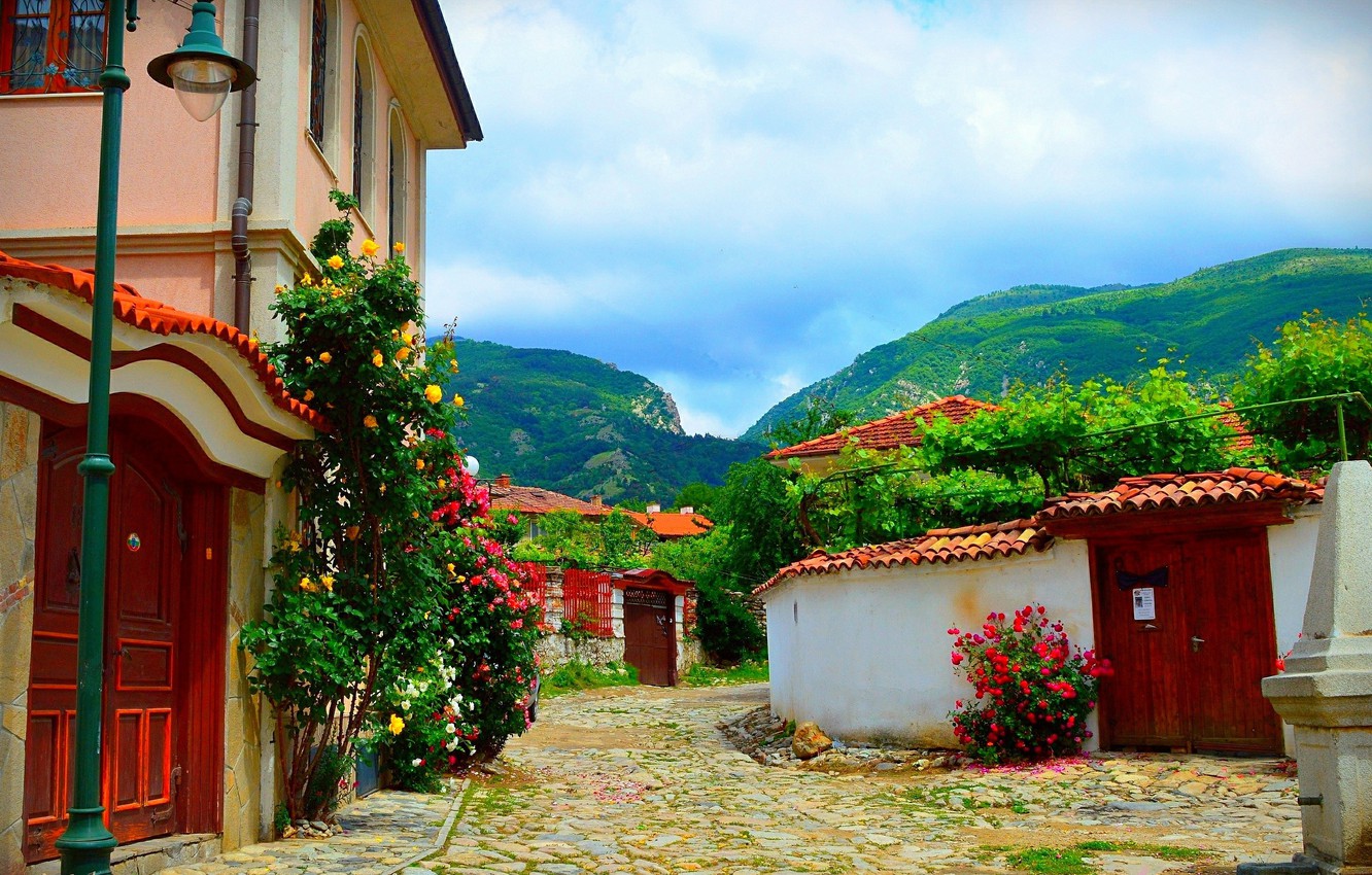 Wallpaper flowers nature home mountains village the bushes nature flowers spring mountains village houses images for desktop section ððµðð