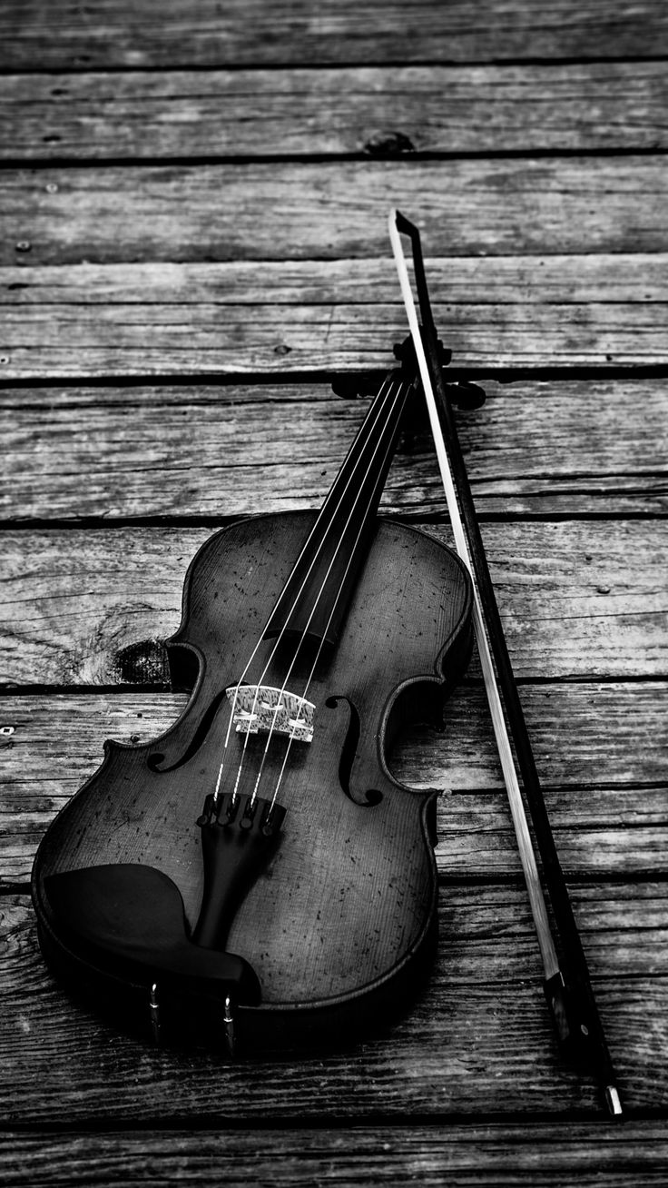 Download Free 100 + wallpaper violino