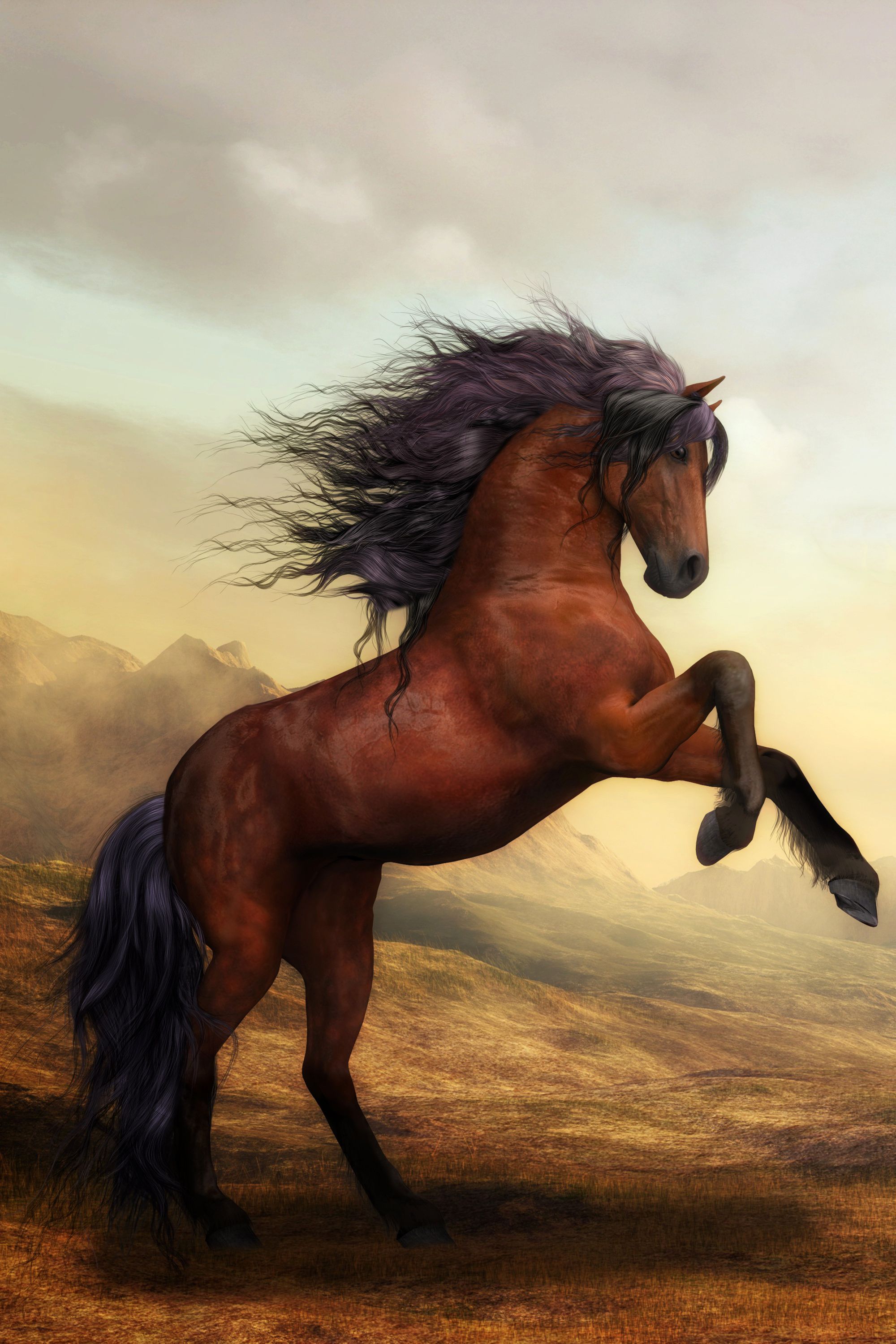 War horse wildlife poster pretty horses horse wallpaper horses