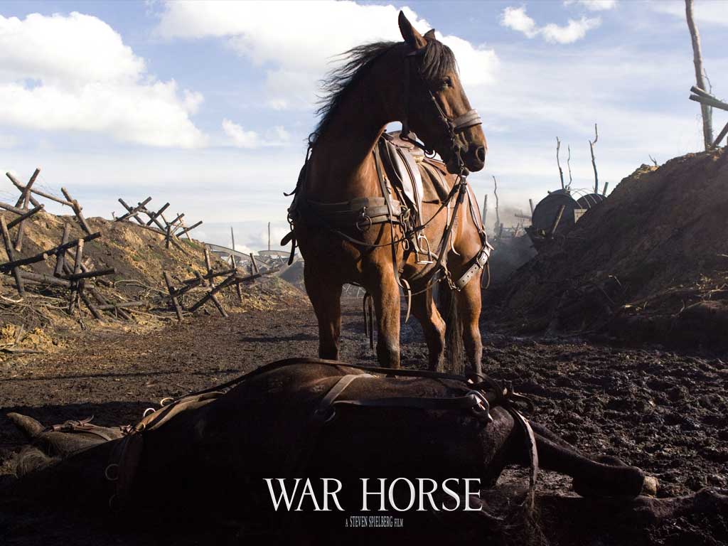 War horse