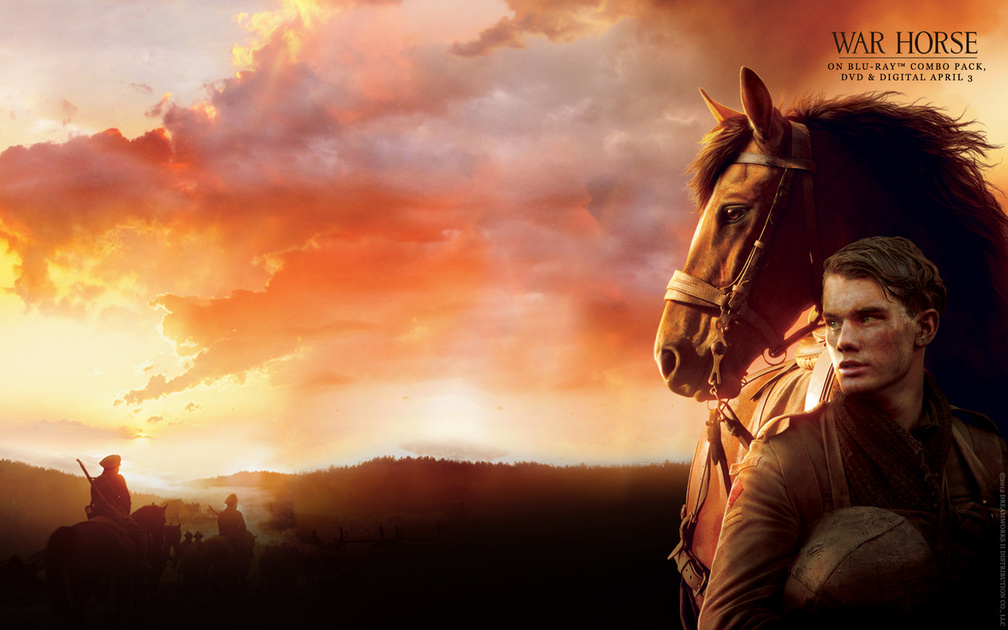 Tag war horse download hd wallpapers and free images