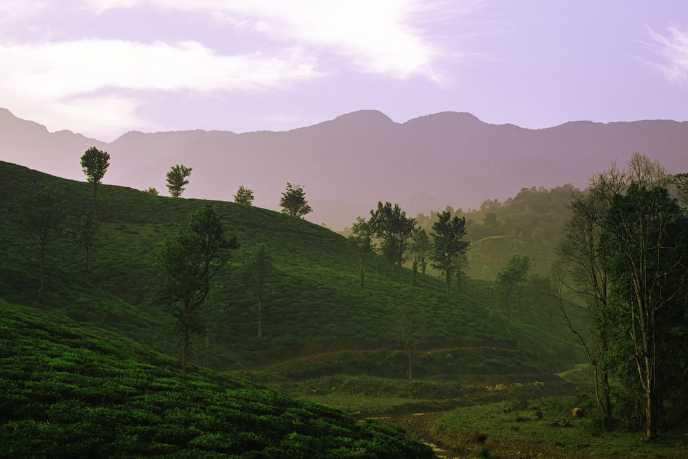 K wayanad pictures download free images on