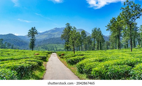 Wayanad images stock photos vectors