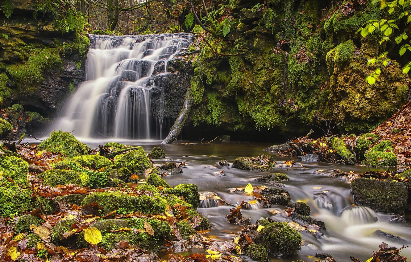 Wallpaper autumn leaves england waterfall moss cascade england west yorkshire west yorkshire gorpley clough falls todmorden todmorden images for desktop section ððµðð