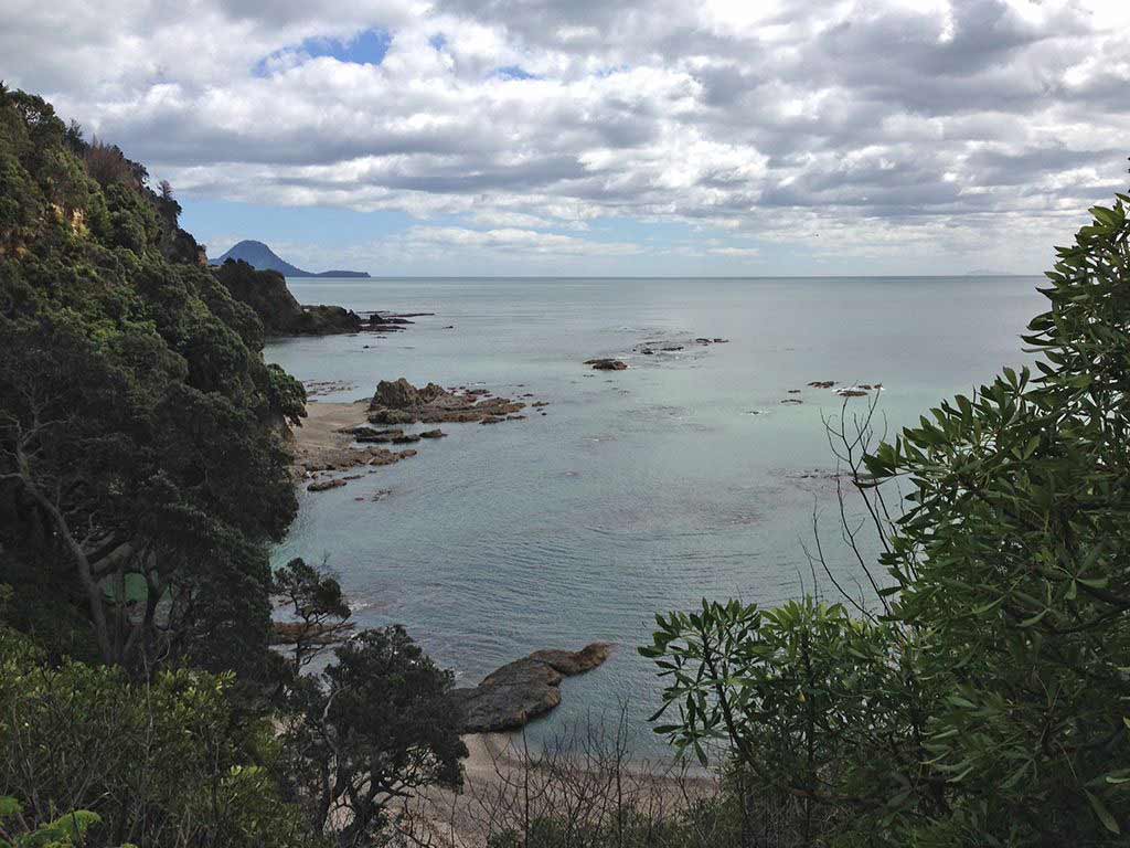 Experience nature in whakatane â pacific ast motor lodge