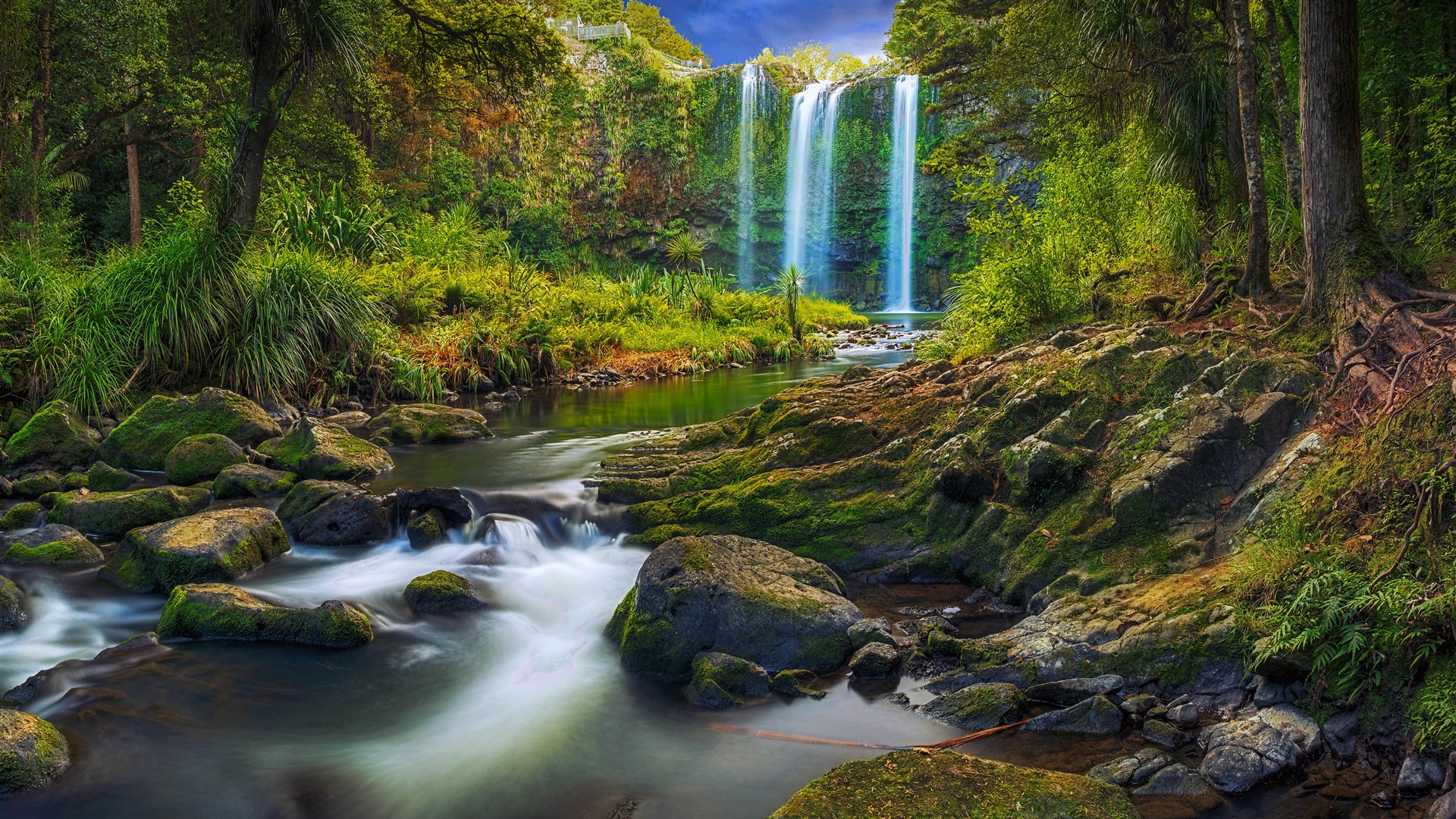 Whangarei falls new zealand