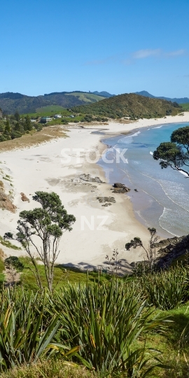 Mobile wallpaper ocean beach in whangarei new zealand