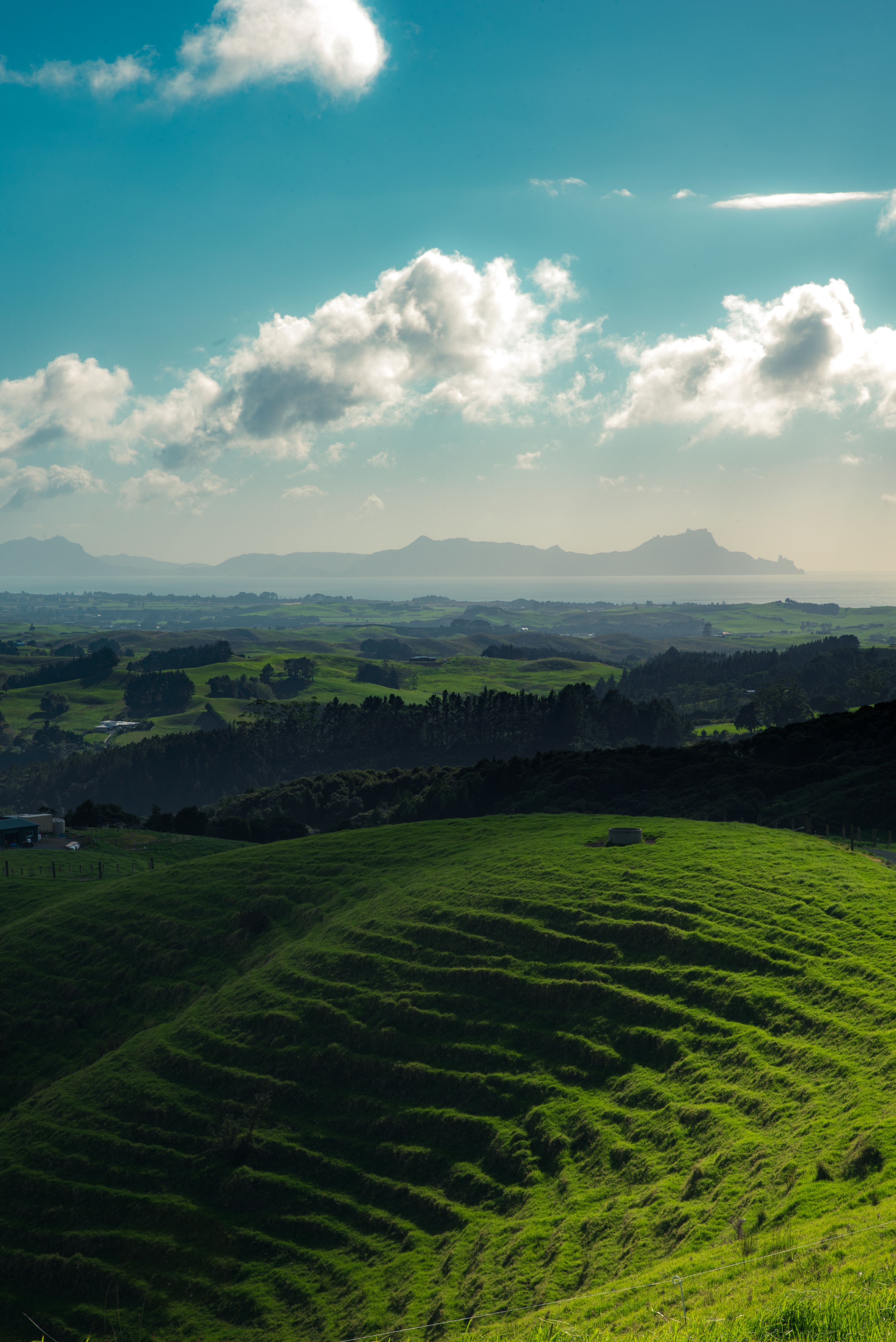 Ile whangarei grass mountains horizon nature hills new zealand download the picture for free