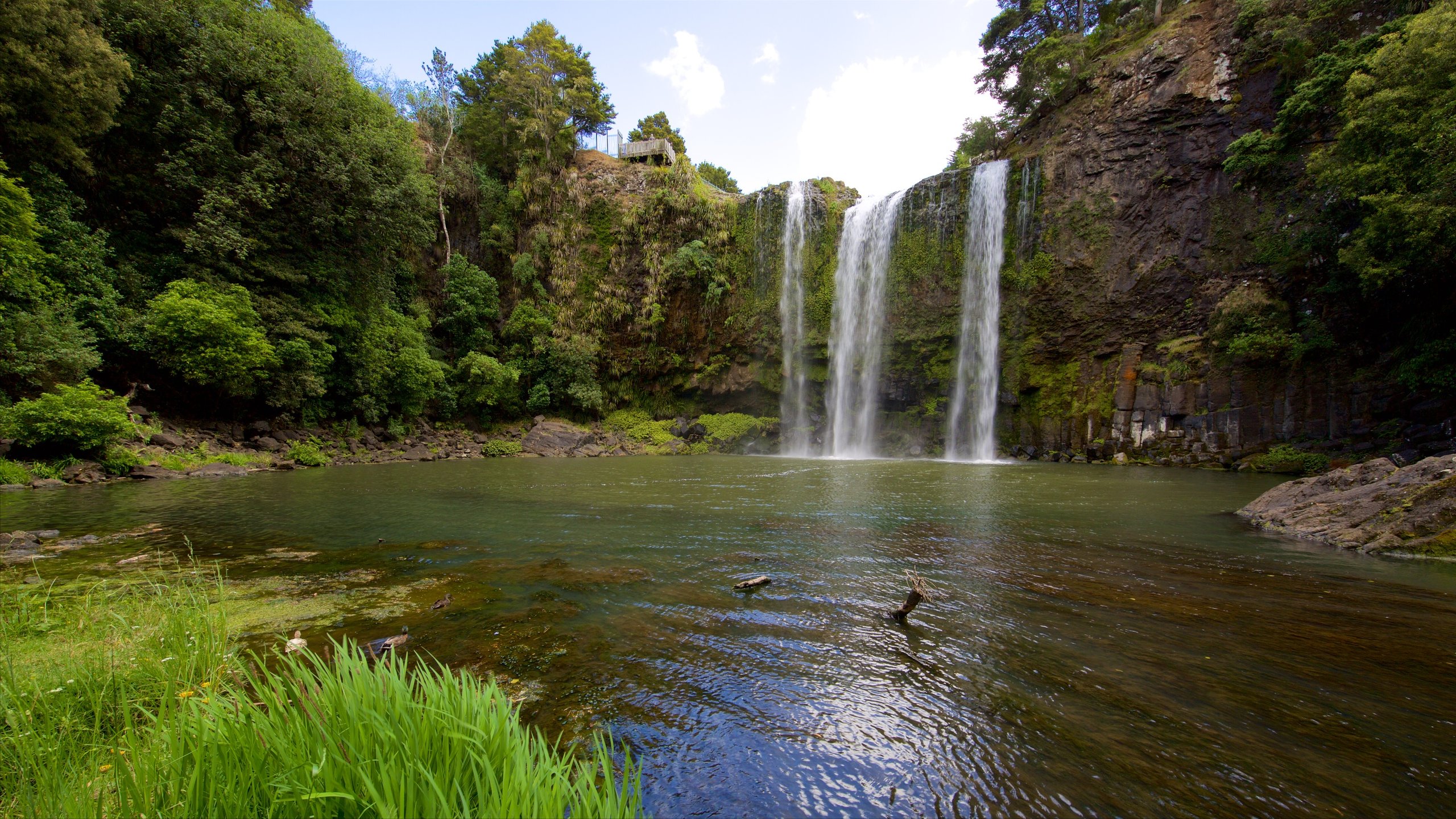 Whangarei falls in glenbervie