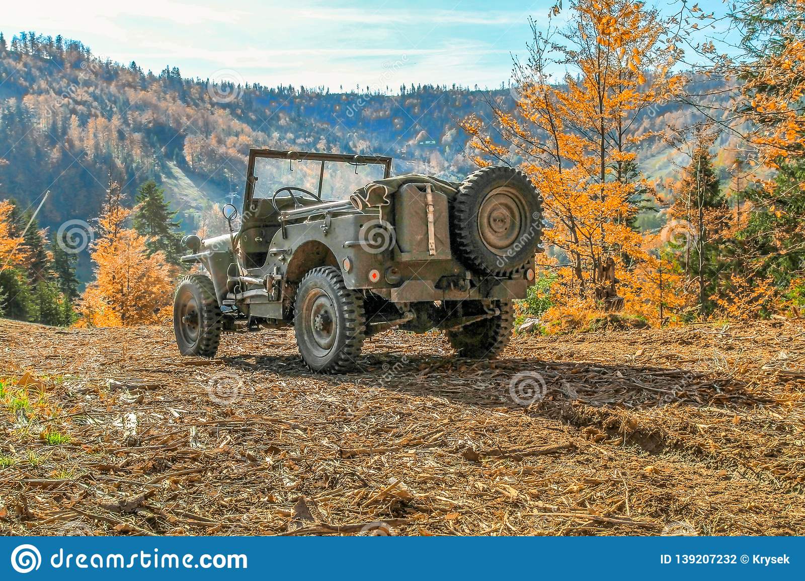 Willys jeep stock photos