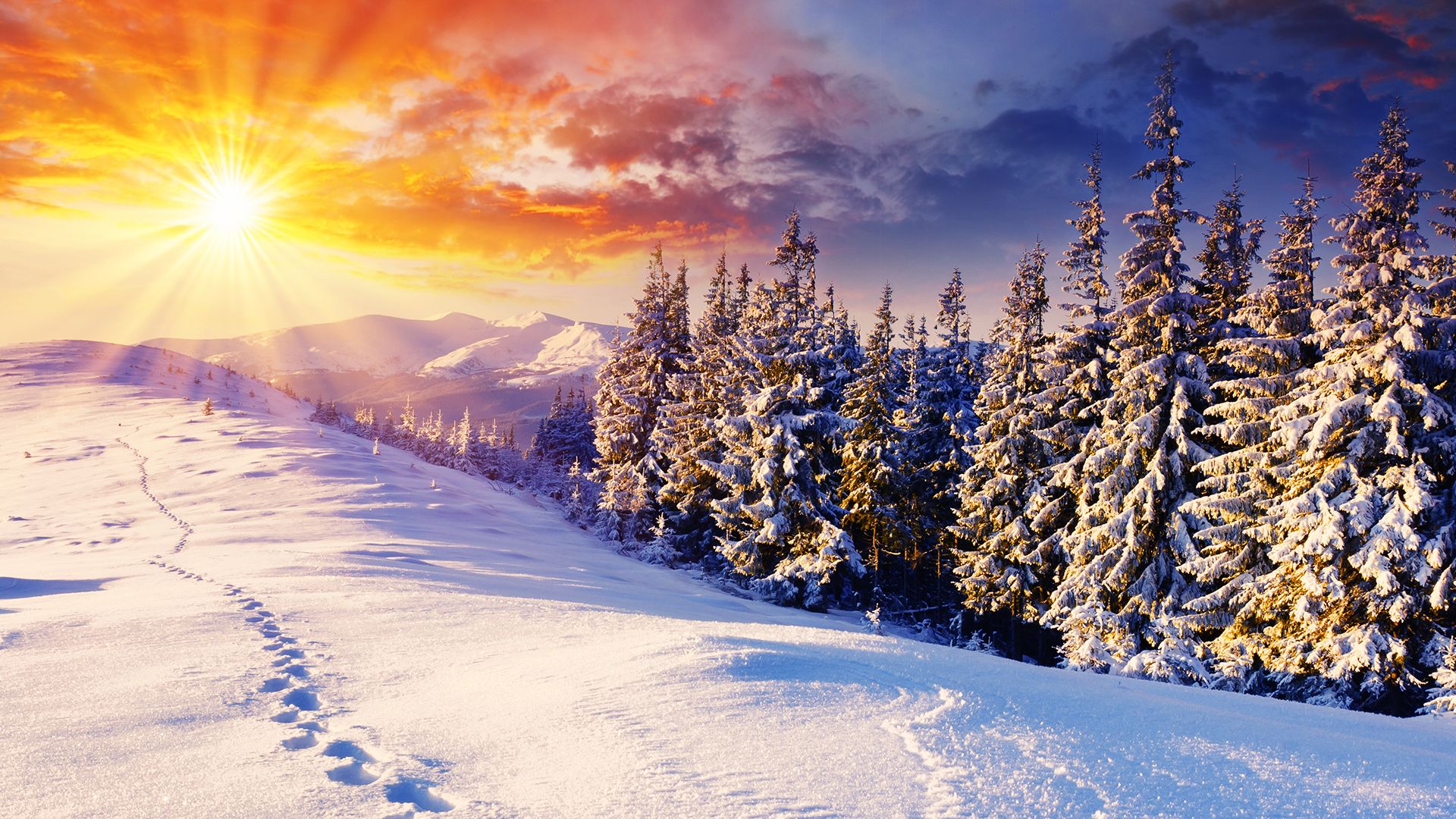 X hd winter desktop wallpapers