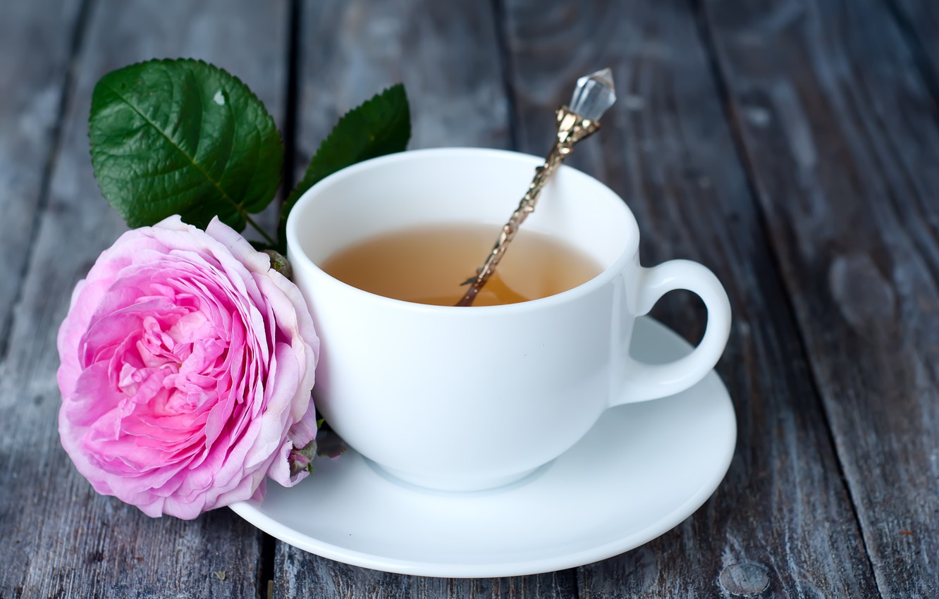 Wallpaper flowers roses pink wood pink flowers cup roses tea cup of tea images for desktop section ðµðð