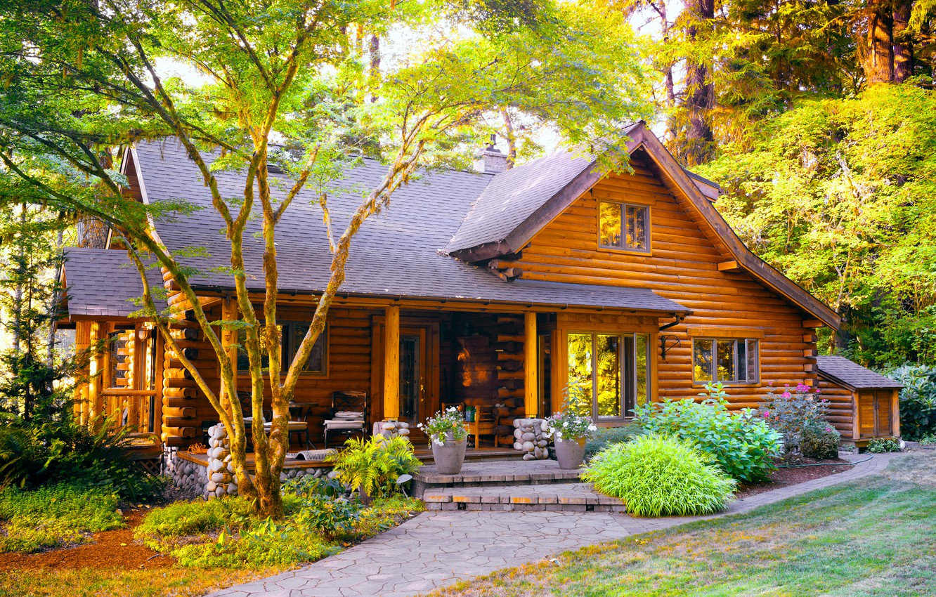 Wallpaper forest summer nature wooden house house in the woods images for desktop section ððµðð