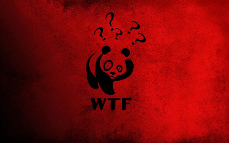 Wtf panda bears wallpapers hd desktop and mobile backgrounds