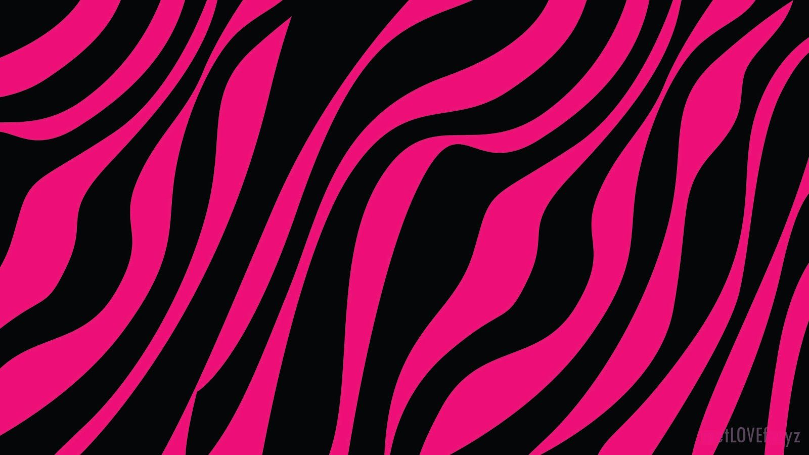 Download Free 100 + wallpaper zebra pink