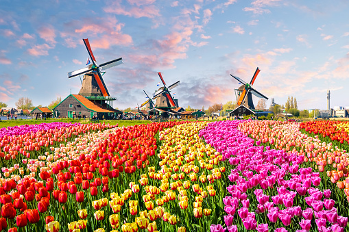 Download wallpapers 4k, Amsterdam, dutch cities, water channel, Netherlands,  Europe, summer, HRD for desktop free. Pictures for desktop free