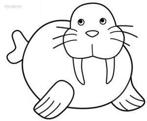 Walrus coloring pages for kids animal coloring pages coloring pages for kids coloring pages