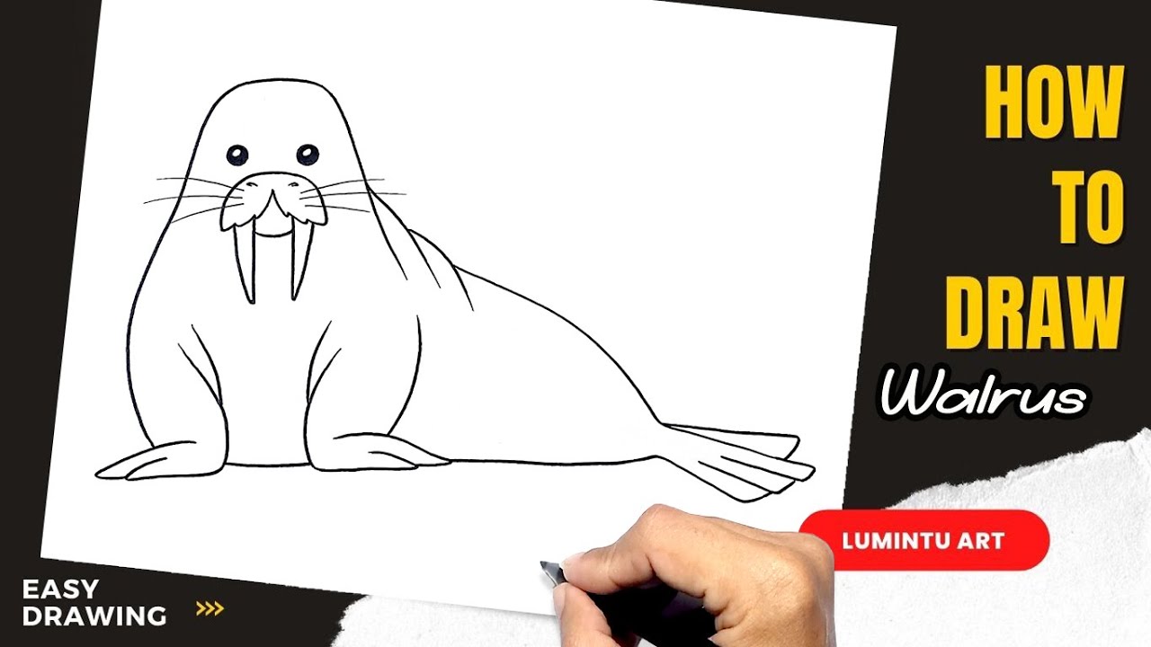 How to draw walrus