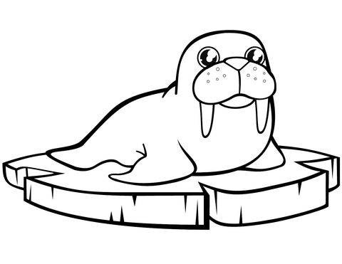 Cartoon walrus on the ice floe coloring page free printable coloring pages