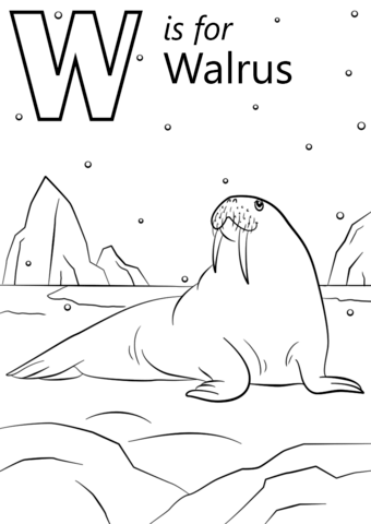 W is for walrus coloring page free printable coloring pages