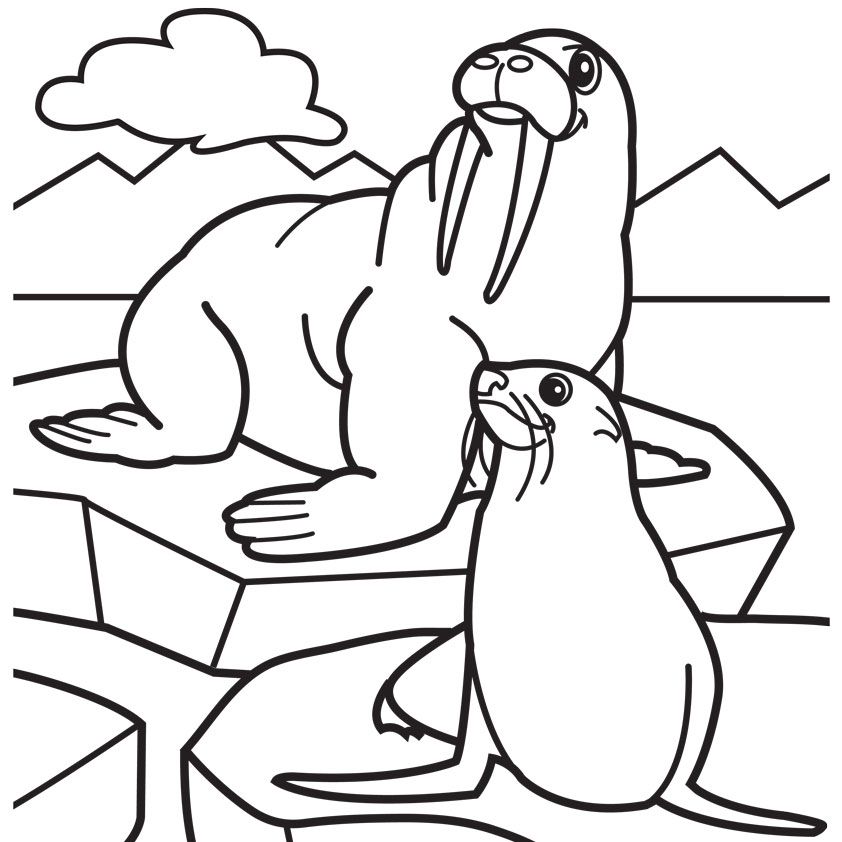 Arctic animals coloring pages