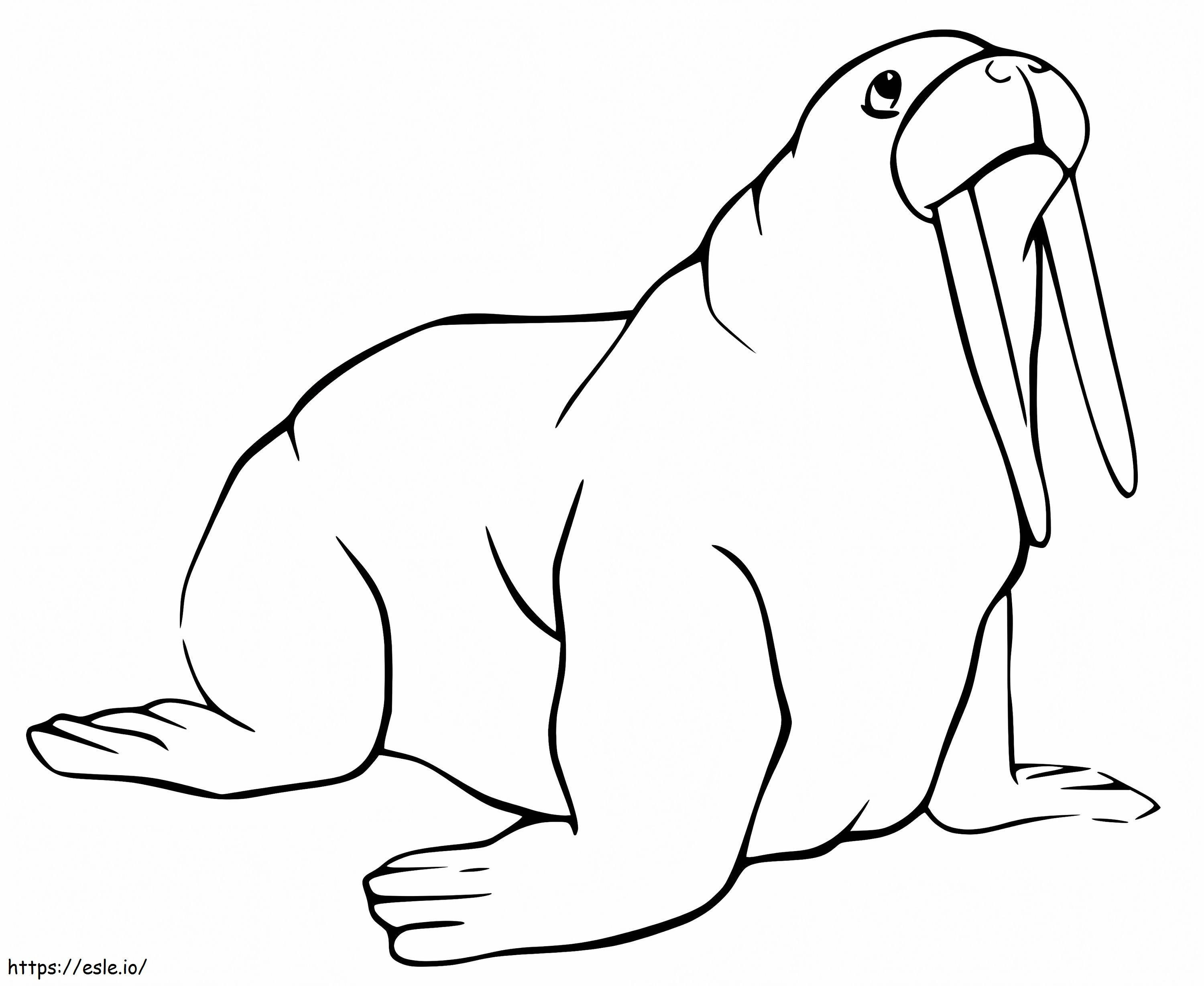 Walrus coloring page