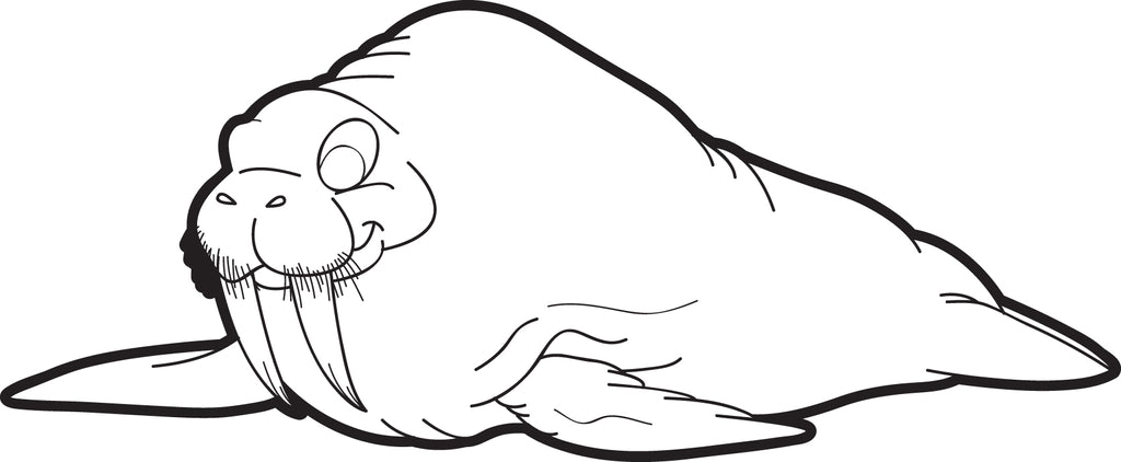 Printable walrus coloring page for kids â