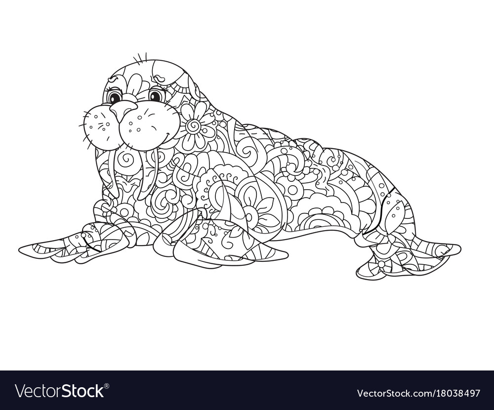 Sea walrus an animal of the north pole coloring vector image