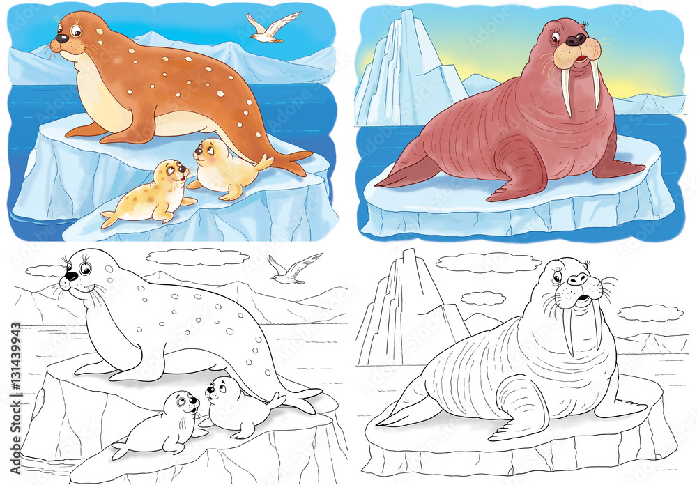 Cute arctic animals snail and walrus coloring page illustration for children illustration